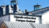 Campus Gotland växer – närmar sig målet
