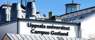 Campus Gotland växer – närmar sig målet