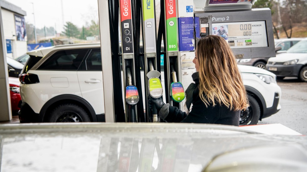 Användningen av biodrivmedel i hela transportsektorn behöver öka över tid. 