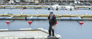 Luleåhamn fortsätter upprustningen – vill bli stans finaste