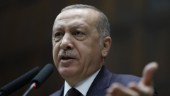 Ringer inga klockor när Erdogan kallar Hamas ”befriare"