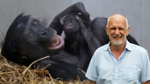 "Vi borde vara lite mer som bonoboapan" • Nu är bästa tiden att utforska kärlekens under