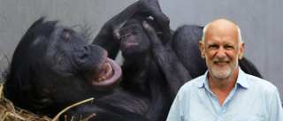 "Vi borde vara lite mer som bonoboapan" • Nu är bästa tiden att utforska kärlekens under