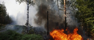 Mindre skogsbrand i närheten av Stålbåga