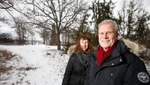 Trädparken dröjer: Har inte hört ett knyst från kommunen