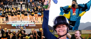 Ett ovanligt guldglansigt sportår för Norrköping