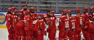 Klart: De ska leda Almtuna i Nationella damhockeyligan