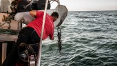 Fiskare hjälper till att rensa Östersjön på skräp