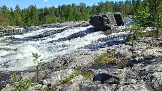 SPF Bergnäset till Storforsen