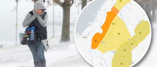 VARNINGEN: Nytt oväder på ingång i Västerbotten i helgen