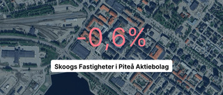 Årsredovisningen klar: Så gick det för Skoogs Fastigheter i Piteå AB