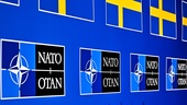 Nato enar Norden och lär Sverige en viktig läxa