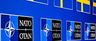Nato enar Norden och lär Sverige en viktig läxa