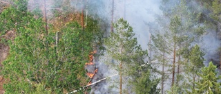 Flera larm om brand i skog på grund av blixtnedslag