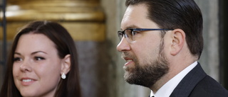 Jimmie Åkesson ska gifta sig – friade på Ålandskryssning