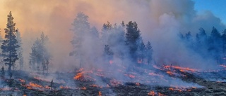 "Skogsbränder är en planeringsgrej"