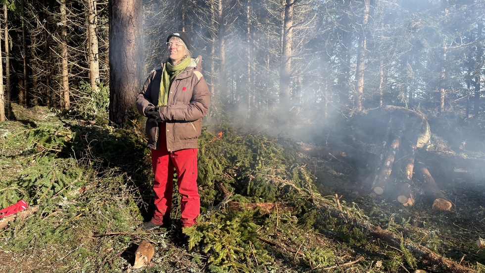 Åsa Back, projketledare för Spår i skogen, återställer en bit mark i Ydreskogarna till kohage.