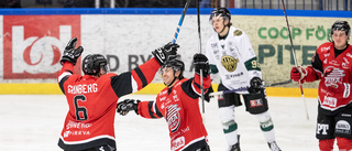 Piteå Hockey flyger – leder serien: "Det är otroligt stort"