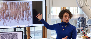 Hon vill lösa Inkafolkets gåta – i labbet på Gotland