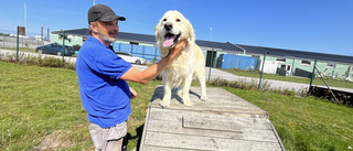 Magnus, 52, tar över hundcentret efter fem år som anställd