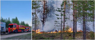 Brandflyg upptäckte skogsbrand