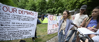 Palestinaaktivister i Lund oroar studenter