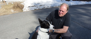 Hunden Asta räddade livet på hussen Dan när han fick hjärtstopp