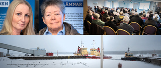 Kritik mot Luleå hamn: Dålig information • Sandö-idyllen hotad