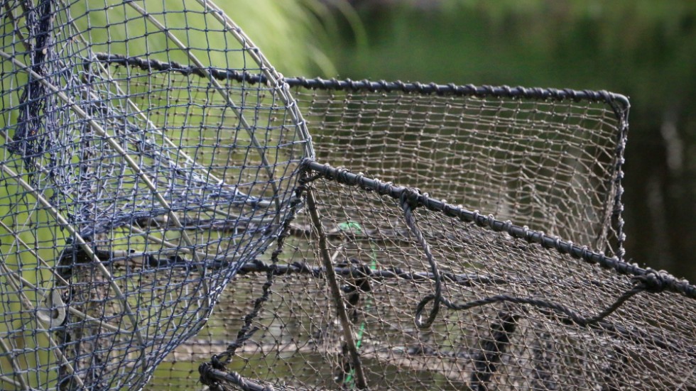 Testkräftor ska kartlägga smittan