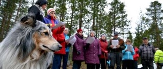 Elvis firade i Kuivakangas