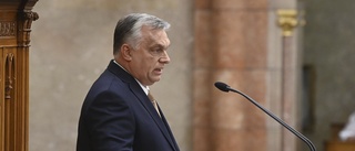 Ungern väntas godkänna Natoansökan i december