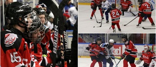 Kul hockeyhelg när Sportringen Cup avgjordes i Piteå