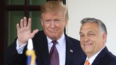 Orbán saknar sin "gode vän Trump" på Twitter