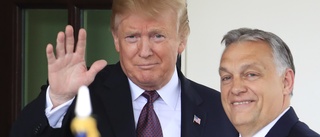 Orbán saknar sin "gode vän Trump" på Twitter