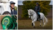 Ingrid köpte ny tävlingshäst - när hon var 73 år: "Jag lever mitt drömliv nu" ✔ Chaufför åt den engelske prinsen
