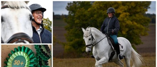 Ingrid köpte ny tävlingshäst - när hon var 73 år: "Jag lever mitt drömliv nu" ✔ Chaufför åt den engelske prinsen