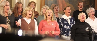 Flera körer samlas för konsert: "Från gospel till Abba"