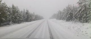 Snöovädret: Fjällväg stängs av på grund av hårt väder – kolonnkörning gäller