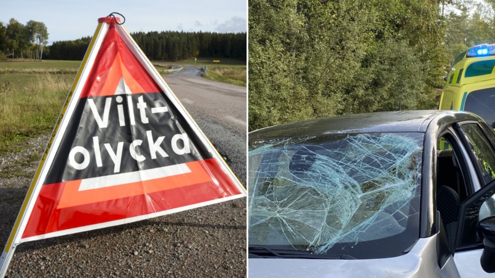 Förra året skedde 113 viltolyckor i Vimmerby kommun under oktober till december. Det är klart mer än en olycka per dag.