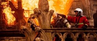 Panik, livsfara, spänning och landssorg • "Notre-Dame brinner" håller vad titeln lovar