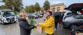 Blomstrade under pandemin – nu vill rekoringen i Katrineholm få tillbaka kunderna: "Intresset borde ju verkligen finnas för lokalodlat"
