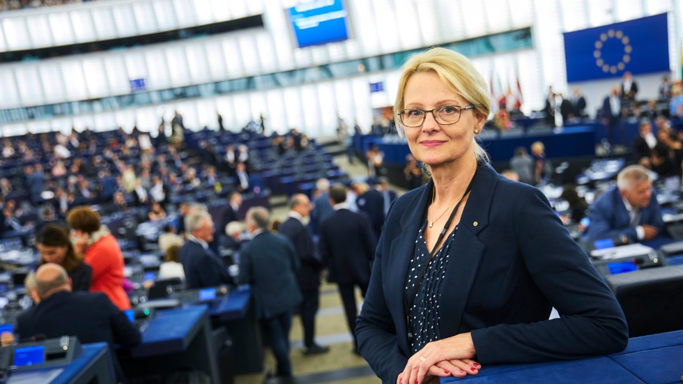 Heléne Fritzon (S) är en av de 748 folkvalda ledamöterna i Europaparlamentet. Hon är även vice ordförande för de sammanlagt 154 S-ledamöterna i parlamentet.