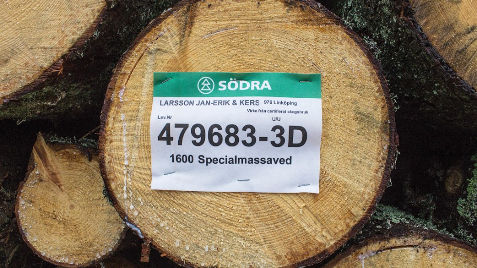 Det flesta skadade träd på Stubba kan säljas som specialmassaved.