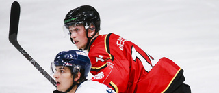 Centern förlänger med Luleå Hockey