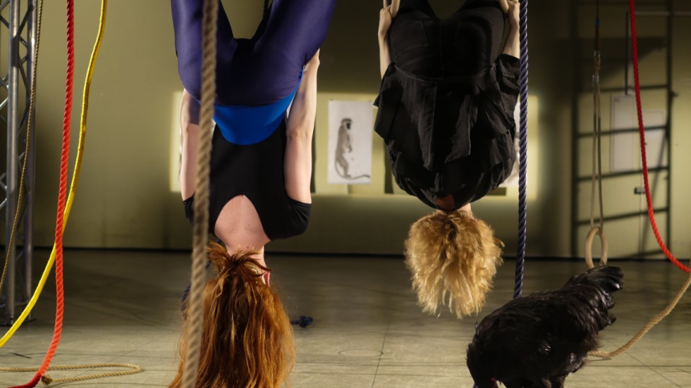 I verket "Borderline Human - Milk River Valley" gör konstnären Gunnhildur Hauksdóttir en performanceföreställning tillsammans med dansaren Saga Sigurdadóttir (till vänster) på invigningen av "The non-human animal på Uppsala konstmuseum.