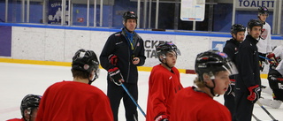 Liten ljusnad i Piteå Hockey inför derbyt