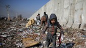 Stoppa utvisningar till Afghanistan