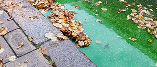 Grönt vatten varnar för läckor