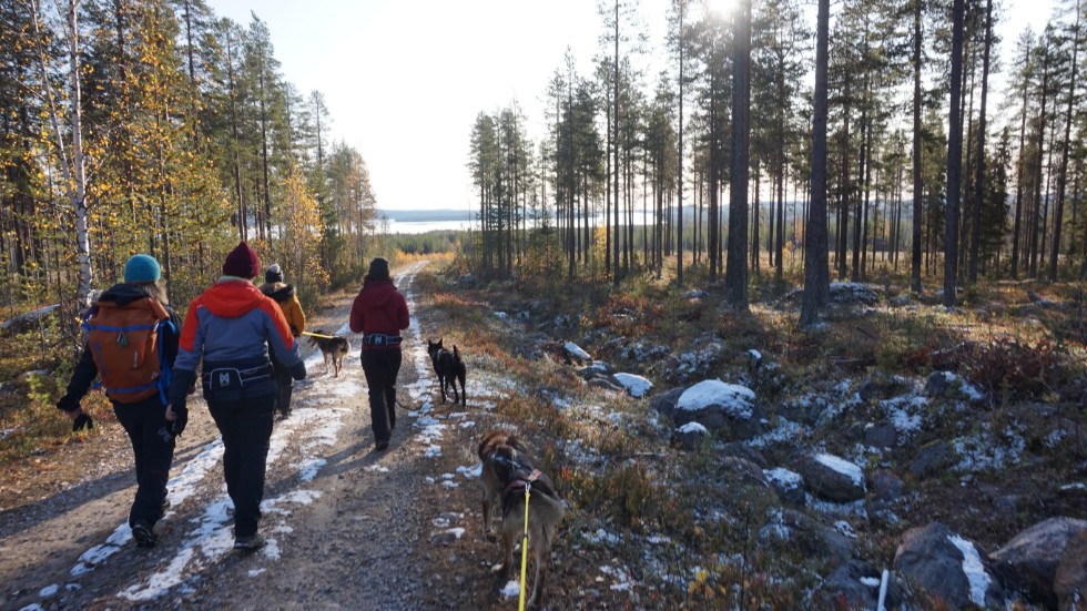 När Heart of Lapland gick ut med inbjudningar till en visningsresa för turoperatörer bokades alla platser på en timme. "Visar hur efterfrågade vi är", säger Anneli Olovsson.