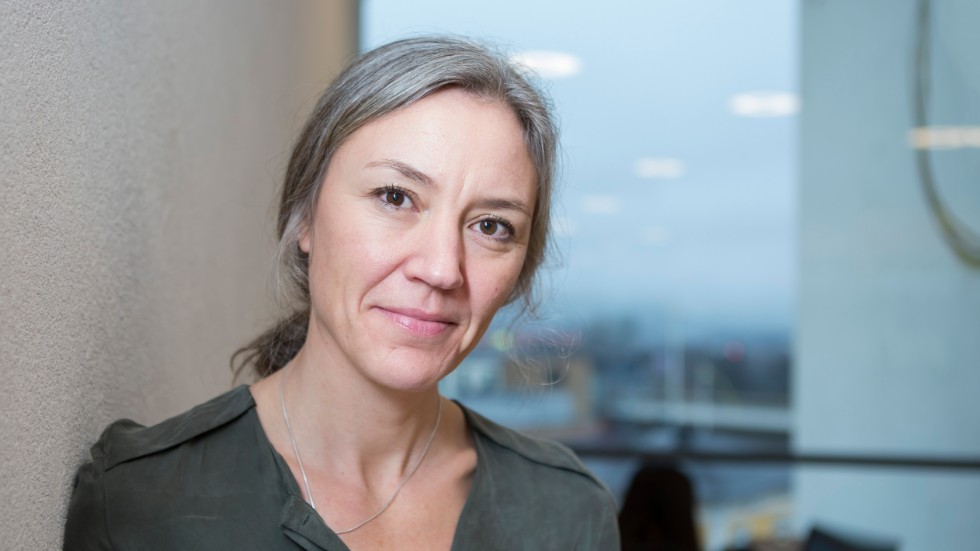 Disa Bergnehr har ett starkt intresse för barn och föräldraskap. Hon forskar och är professor vid Högskolan Borås.  